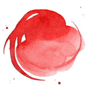 Acrylic Ink 30ml Jar, Pyrrole Red Liquitex vdiue2-zt.myshopify.com
