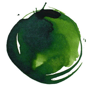 Acrylic Ink 30ml Jar, Sap Green Permanent Liquitex vdiue2-zt.myshopify.com