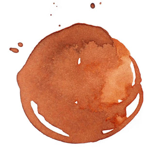 Acrylic Ink 30ml Jar, Transparent Burnt Sienna Liquitex vdiue2-zt.myshopify.com