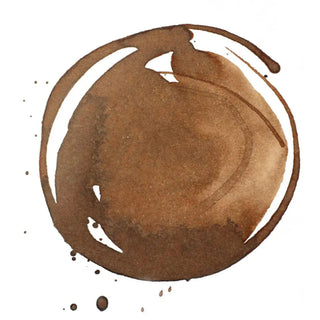 Acrylic Ink 30ml Jar, Transparent Raw Umber Liquitex vdiue2-zt.myshopify.com