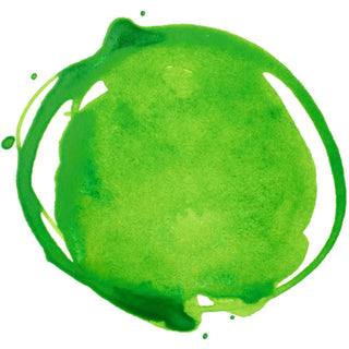 Acrylic Ink 30ml Jar, Vivid Lime Green Liquitex vdiue2-zt.myshopify.com