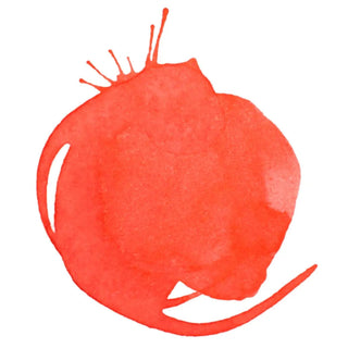 Acrylic Ink 30ml Jar, Vivid Red Orange Liquitex vdiue2-zt.myshopify.com