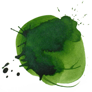 Encre acrylique permanente, pot de 30 ml, teinte vert Hooker.