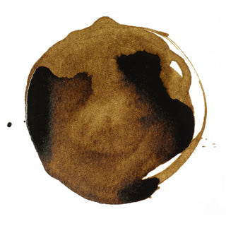 Acrylic Ink 30ml Jar, Transparent Burnt Umber