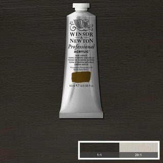 Professional Acrylic 60ml Tube, Raw Umber Winsor & Newton vdiue2-zt.myshopify.com